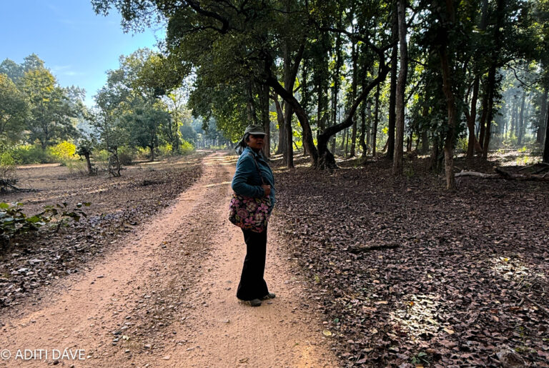 Bandhavgarh: I Went Looking for a Tiger and Stayed Long Enough to Listen