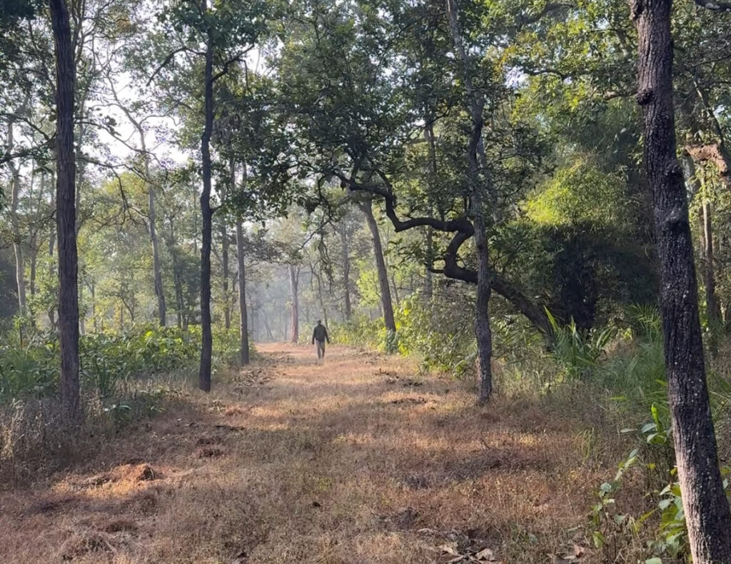 IMG 8771 E1773641936992 1024x790